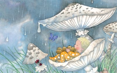 La pioggia saggia – Barbara Jelenkovich