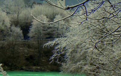 Programma di febbraio: corso base di FOTOGRAFIA
