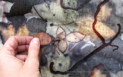 Eco-Printing : corso in esclusiva a Gorizia
